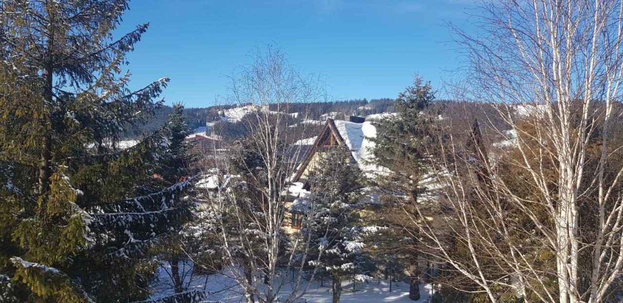 Willa Local 21A Zakopane Zewnętrze zdjęcie